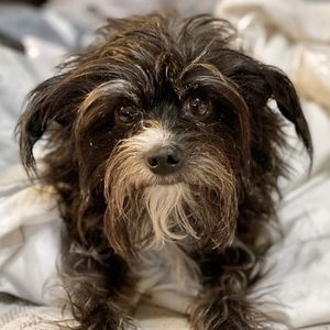 Meet your Posher, Andrea